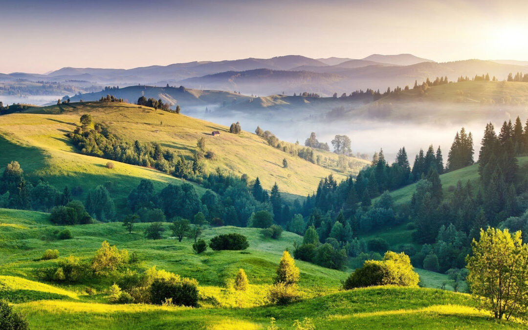 August 2020 India Letter – Hindi