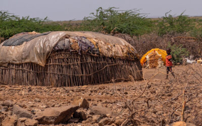 Journey through Kenya