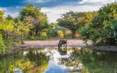 Live School Field Report From Rwanda