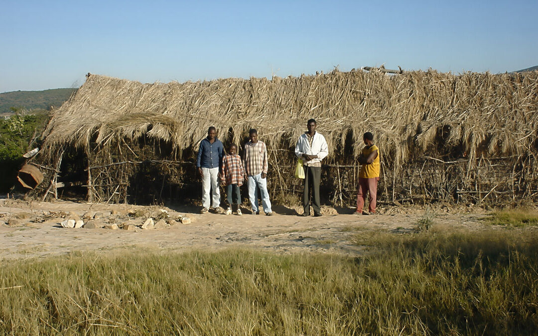 Live School Plants Churches