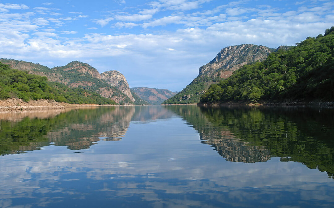 News Bullet – March 24