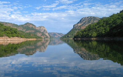 News Bullet – March 24