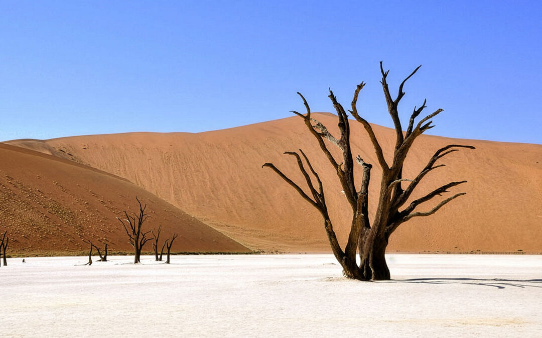 PJ and a Prayer – A Personal Report from Paul