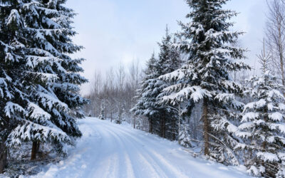 Upcoming Trip to Russia