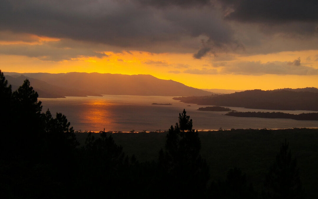 Informe Trimestral 1 y 2 Costa Rica